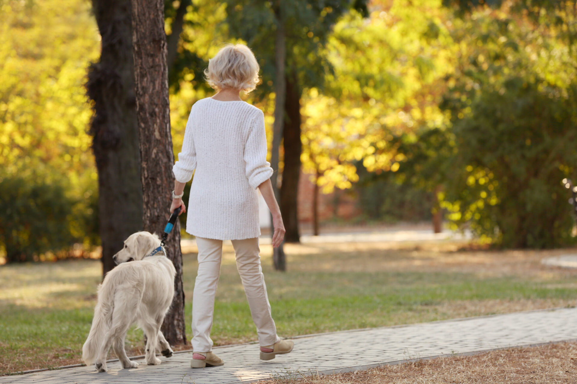 Older woman walking her dog in a park