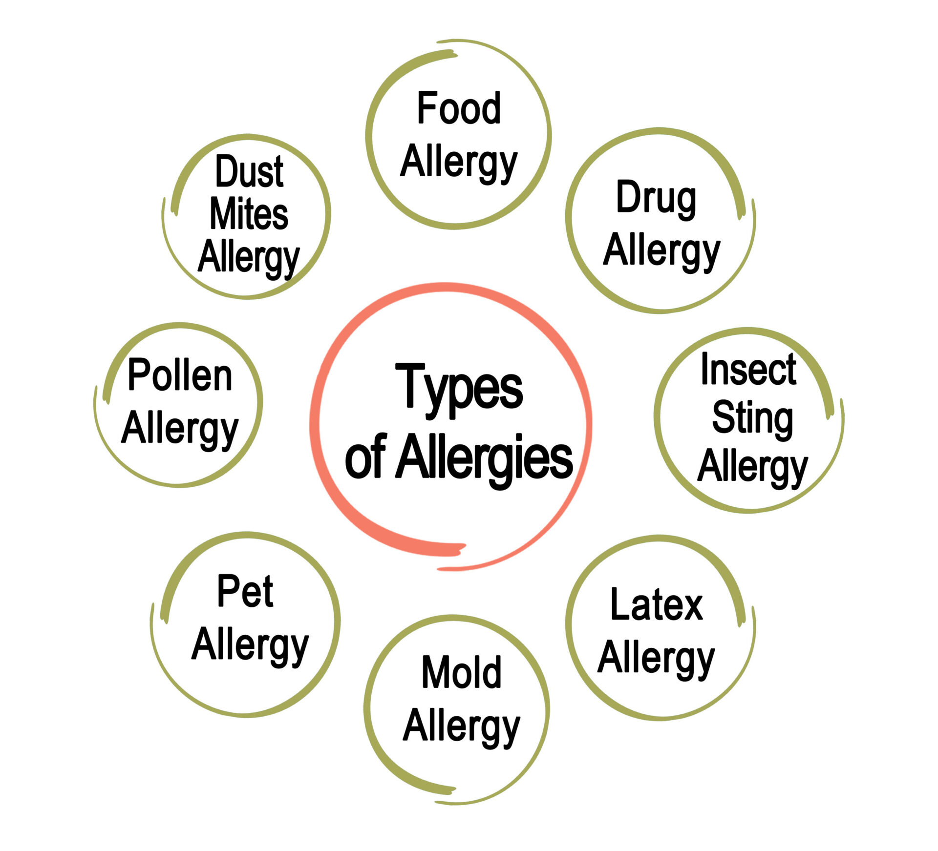 Infographic listing types of allergies--food, drug, insect sting, latex, mold, pet, pollen, and dust mite.